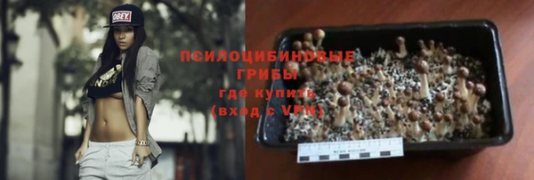 spice Дмитровск