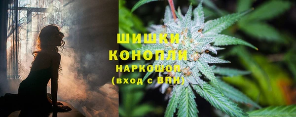 spice Дмитровск