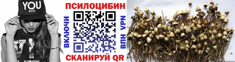Купить где  Семилуки  Псилоцибиновые грибы Psilocybine cubensis 